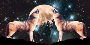 Full Wolf Moon Reiki Circle @ Zoom